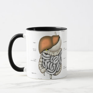 Digestive Organs Mug