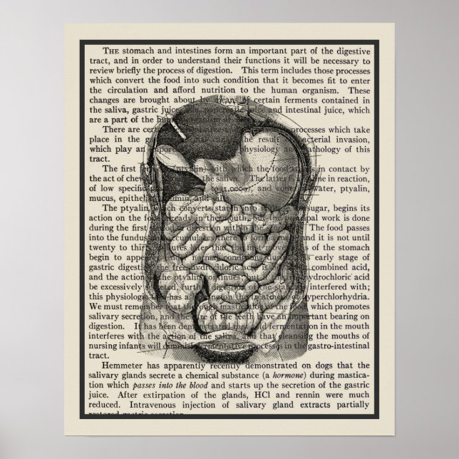Digestive System Anatomy Art Print #1 (Front)