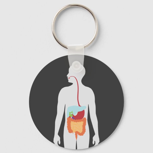 Digestive System Key Ring (Front)