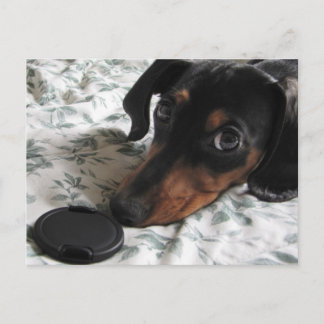 Digger Strike a Pose Postcard