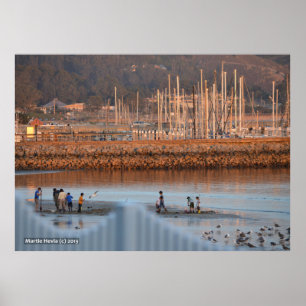 Digging for Clams Poster