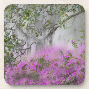 Digital Composite of Azaleas and magnolia tree Coaster