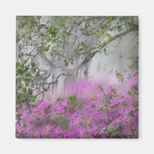 Digital Composite of Azaleas and magnolia tree Magnet