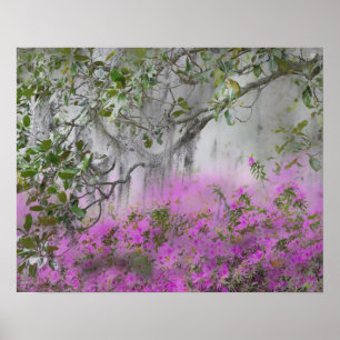 Digital Composite of Azaleas and magnolia tree Poster
