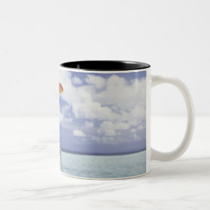Digital composition Two-Tone coffee mug