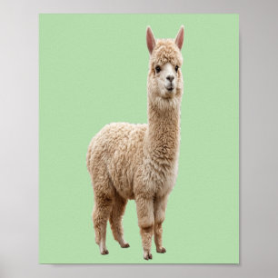 Digital Download Cute Alpaca Sage Green Photo Poster