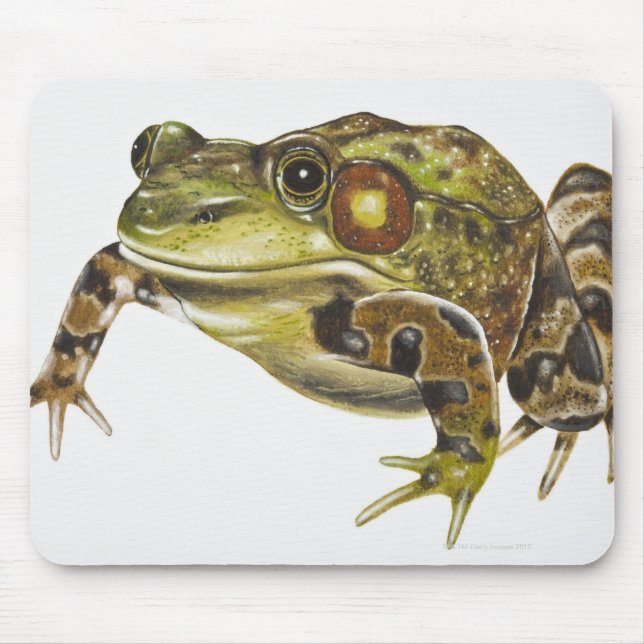 Digital illustration of Green Frog Mouse Pad (Front)
