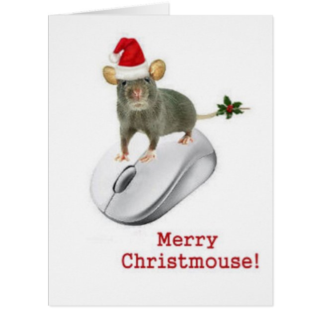 Digital mouse and computer mouse (Front)