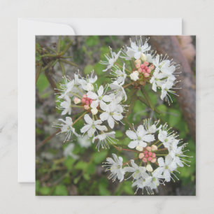 Digital Postcard