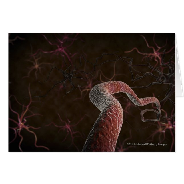 Digital rendering of neurons (Front Horizontal)