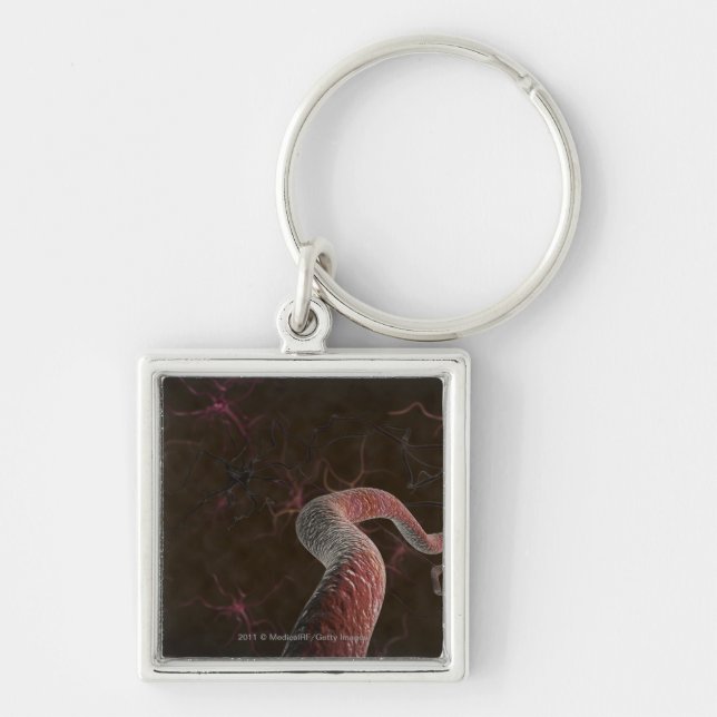 Digital rendering of neurons key ring (Front)