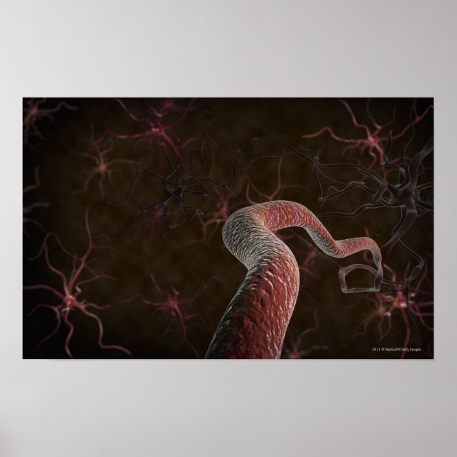 Digital rendering of neurons poster (Front)