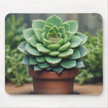 Digital Succulent Serenity