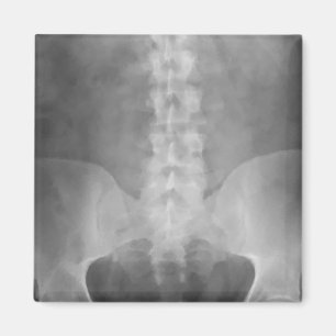 Digital X-Ray Art Magnet