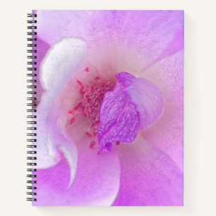 *~* Digitally Modified Rose from Pink to Lavender Notebook