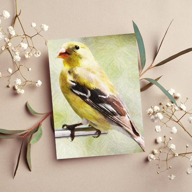 Digitally Painted Gold Finch At Bird Feeder Postcard (Creator Uploaded)