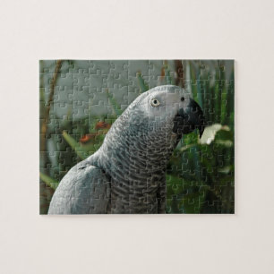 Dignified African Grey Parrot Jigsaw Puzzle