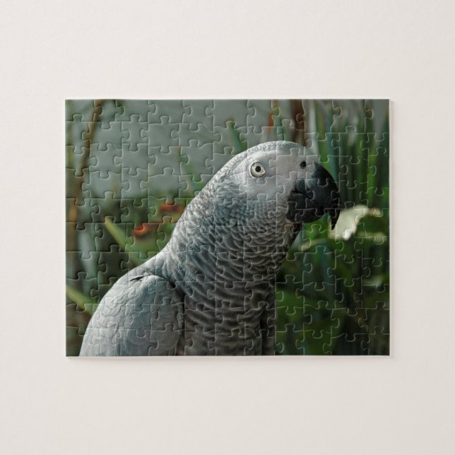 Dignified African Grey Parrot Jigsaw Puzzle (Horizontal)