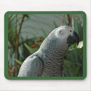 Dignified African Grey Parrot Mouse Pad