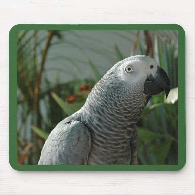 Dignified African Grey Parrot Mouse Pad (Front)