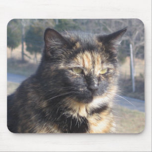 Dignified Cat Mouse Pad