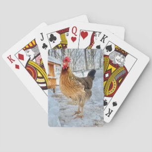Dignified Chicken Playing Cards
