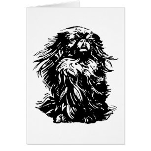 Dignity Pekingese