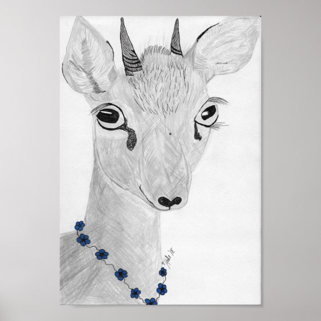 Dik- Dik Poster (Front)