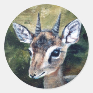 Dikdik Dwarf Antelope Sticker
