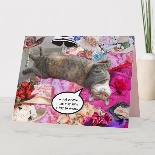 Dilemma of Princess Tatus Cat Card (Front)