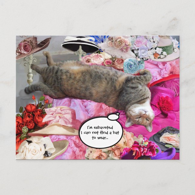 Dilemma of Princess Tatus Cat Postcard (Front)