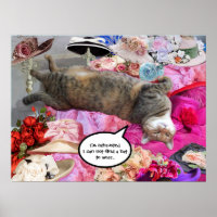 Dilemma of Princess Tatus Cat With Diva Hats