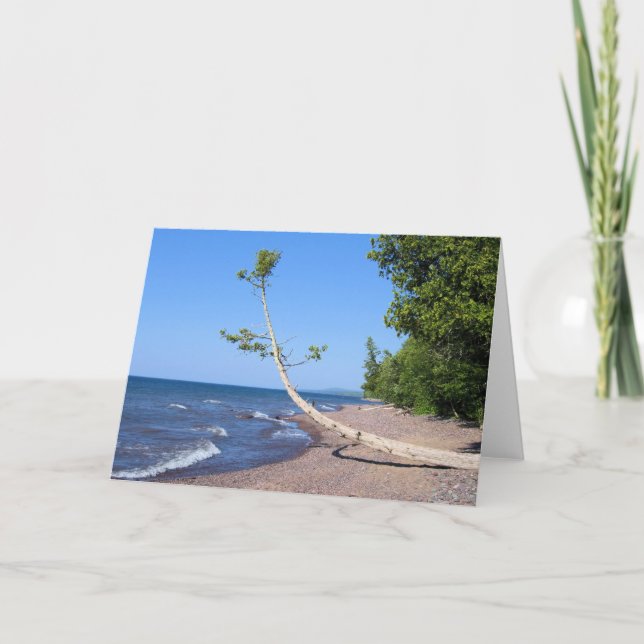 Diligently Seeking - Scripture Greeting Card (Front)