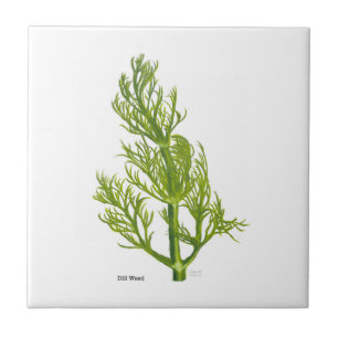 Dill Art Ceramic Tile