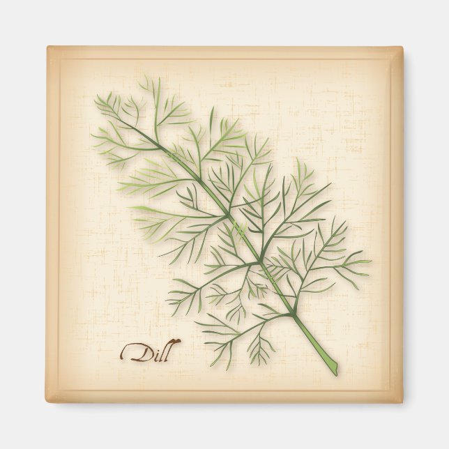 Dill Herb, Dill Weed Magnet (Front)