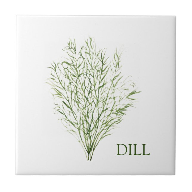 Dill Herb Greenery Kitchen Culinary Green Plant  Ceramic Tile (Front)