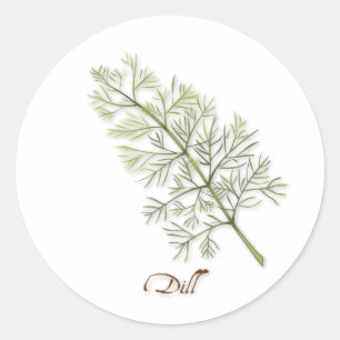 Dill Herb Round Sticker