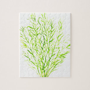 Dill herbs Dill watercolour Jigsaw Puzzle