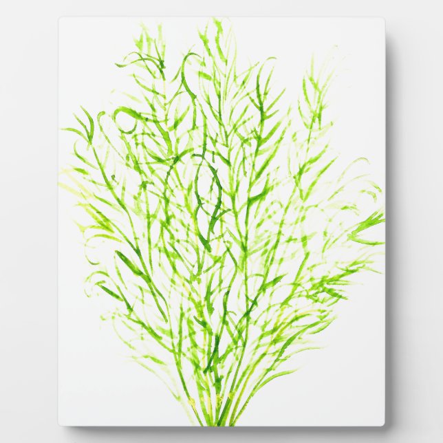 Dill herbs Dill watercolour Plaque (Front)