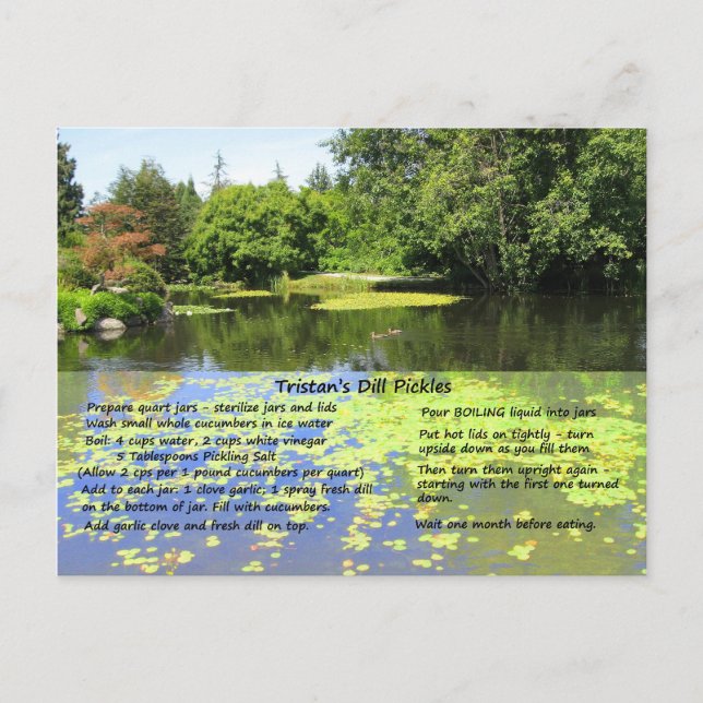 Dill Pickle Recipe Postcard (Front)