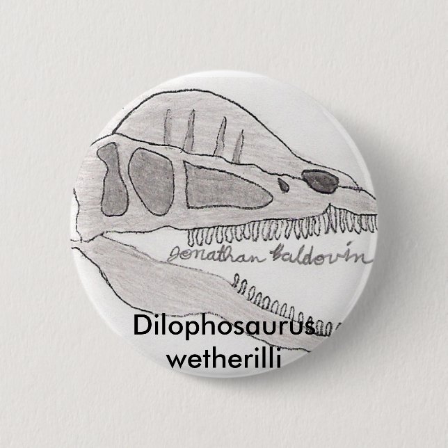 Dilophosaurus button (Front)