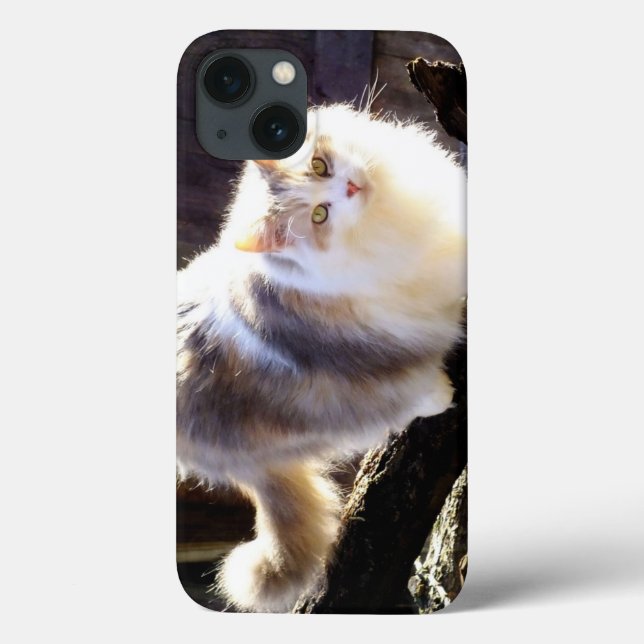 Dilute Calico Maine Coon Cat iPad Case (Back)