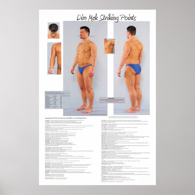 Dim Mak Death Striking Points Poster 24 X 36 (Front)