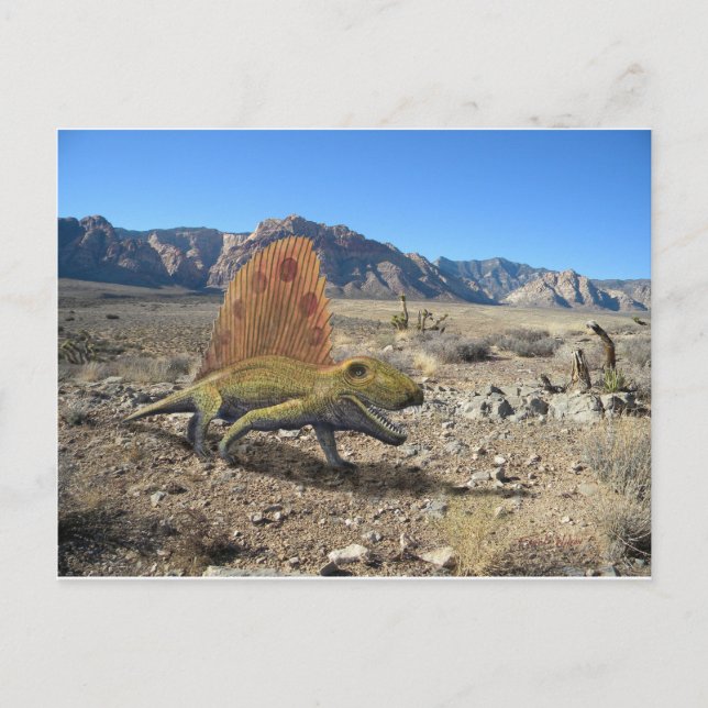 Dimetrodon Dinosaur Postcard (Front)