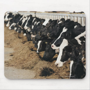 Diminishing Perspective of Cow's Heads Grazing Mouse Pad