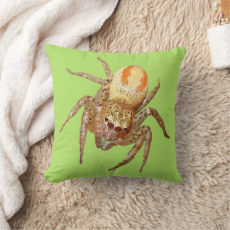 Dimorphic Jumping Spider (Maevia inclemens) Cushion