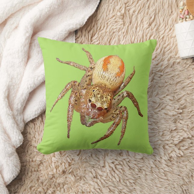 Dimorphic Jumping Spider (Maevia inclemens) Cushion (Blanket)