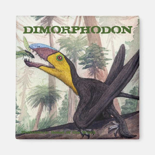 Dimorphodon Magnet (Front)
