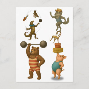 Dingaling Bros Circus acts Postcard
