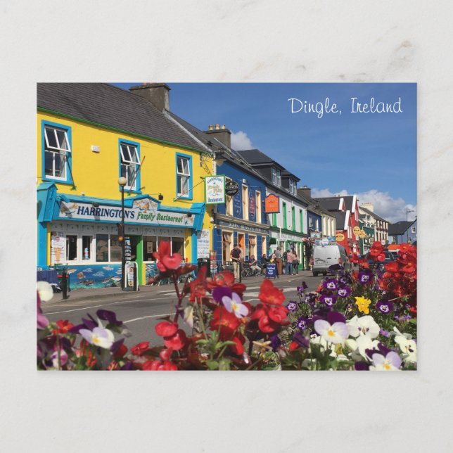 Dingle, Ireland Postcard (Front)